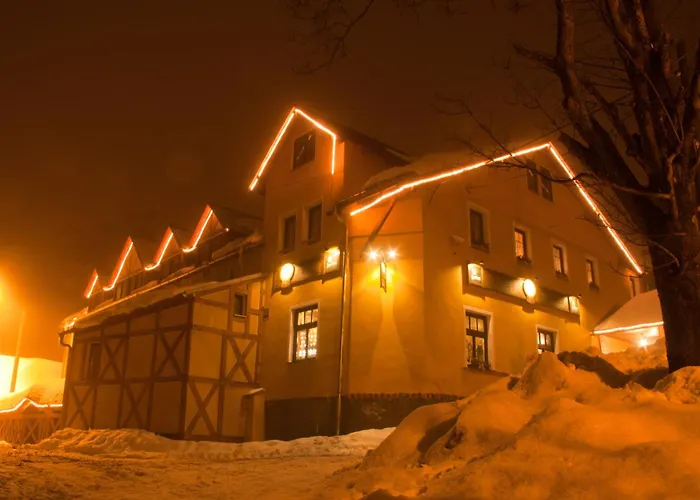 Restaurant Svejk Hotell 3*