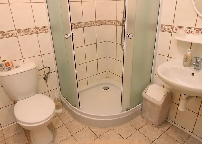 Restaurant Svejk Hotell 3*