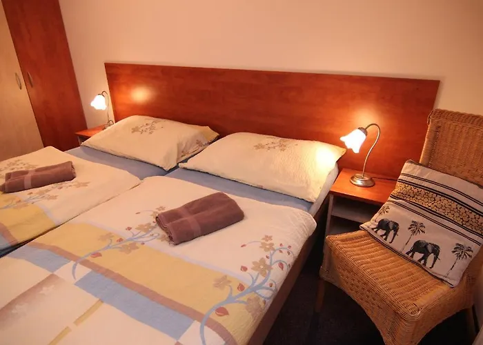 Hotel Restaurant Svejk 3*